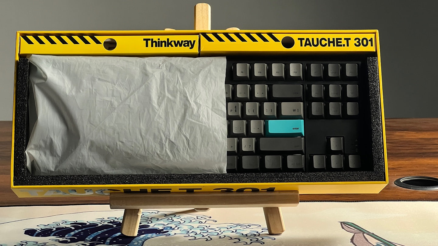 THINKWAY TAUCHE'T 301