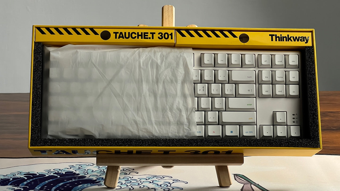 THINKWAY TAUCHE'T 301