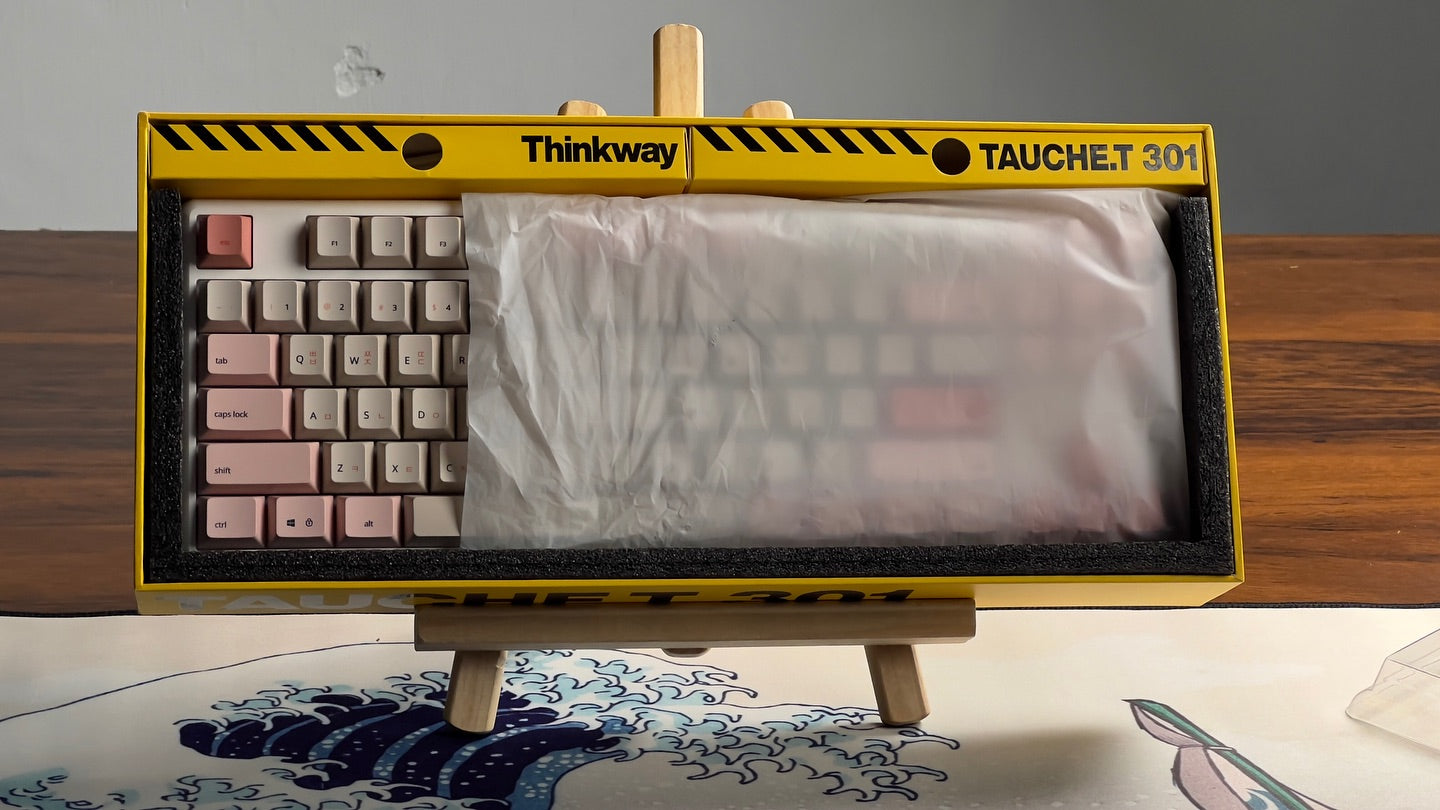 THINKWAY TAUCHE'T 301