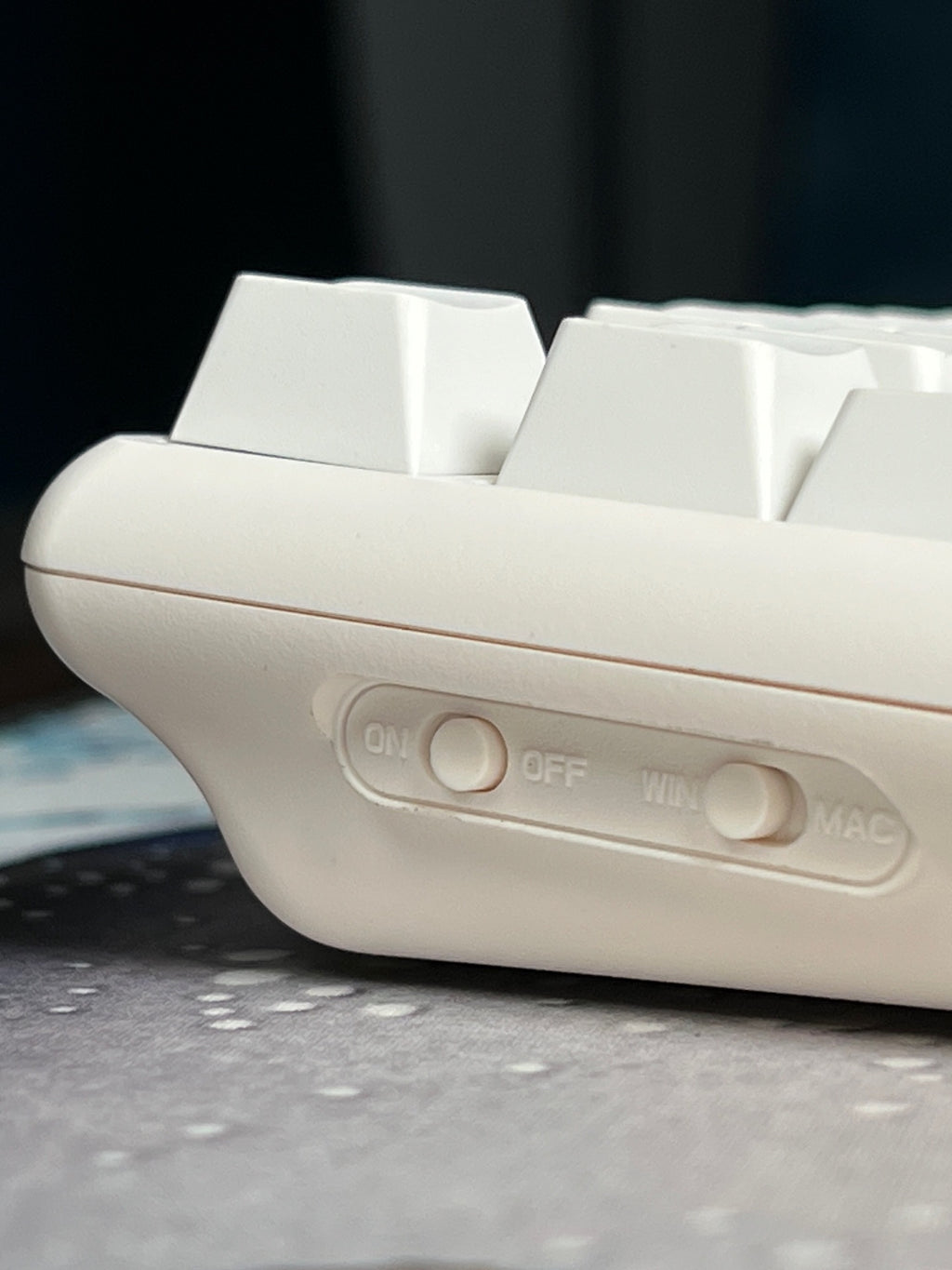 THINKWAY TAUCHE'T 301