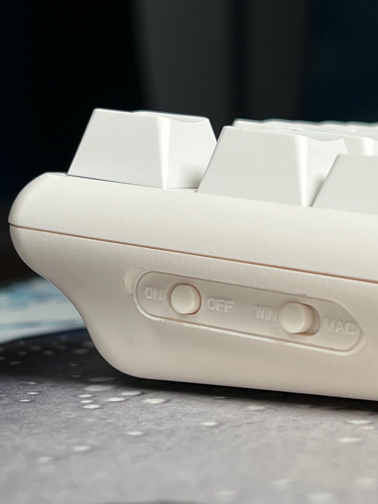 THINKWAY TAUCHE'T 301