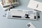Aula F99 Pro ( White Black Grey )