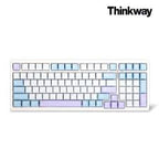 VGN X THINKWAY TV99