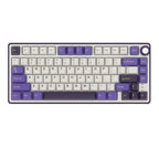 Royal Kludge R75 ( BlackBerry ) Silver Switches