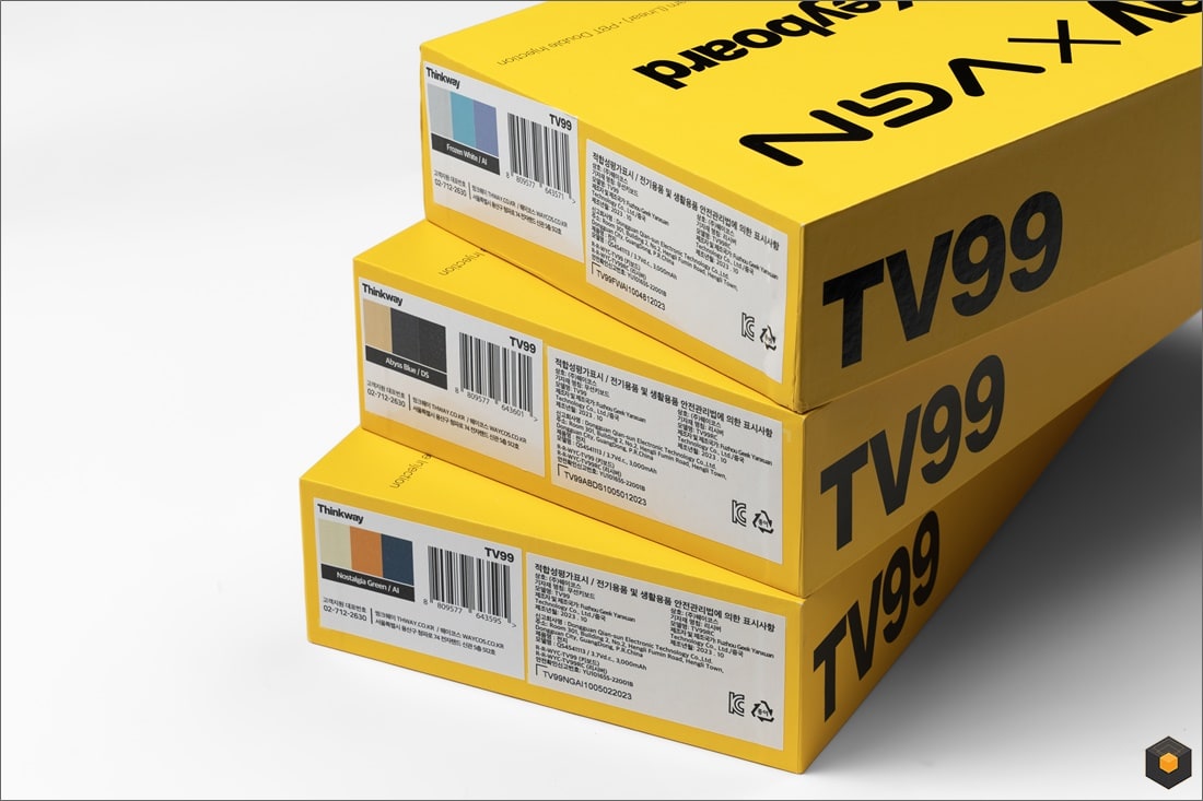 VGN X THINKWAY TV99