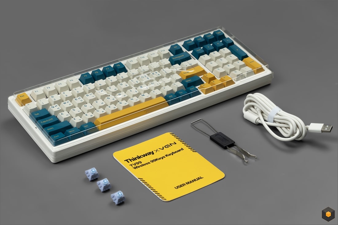 VGN X THINKWAY TV99